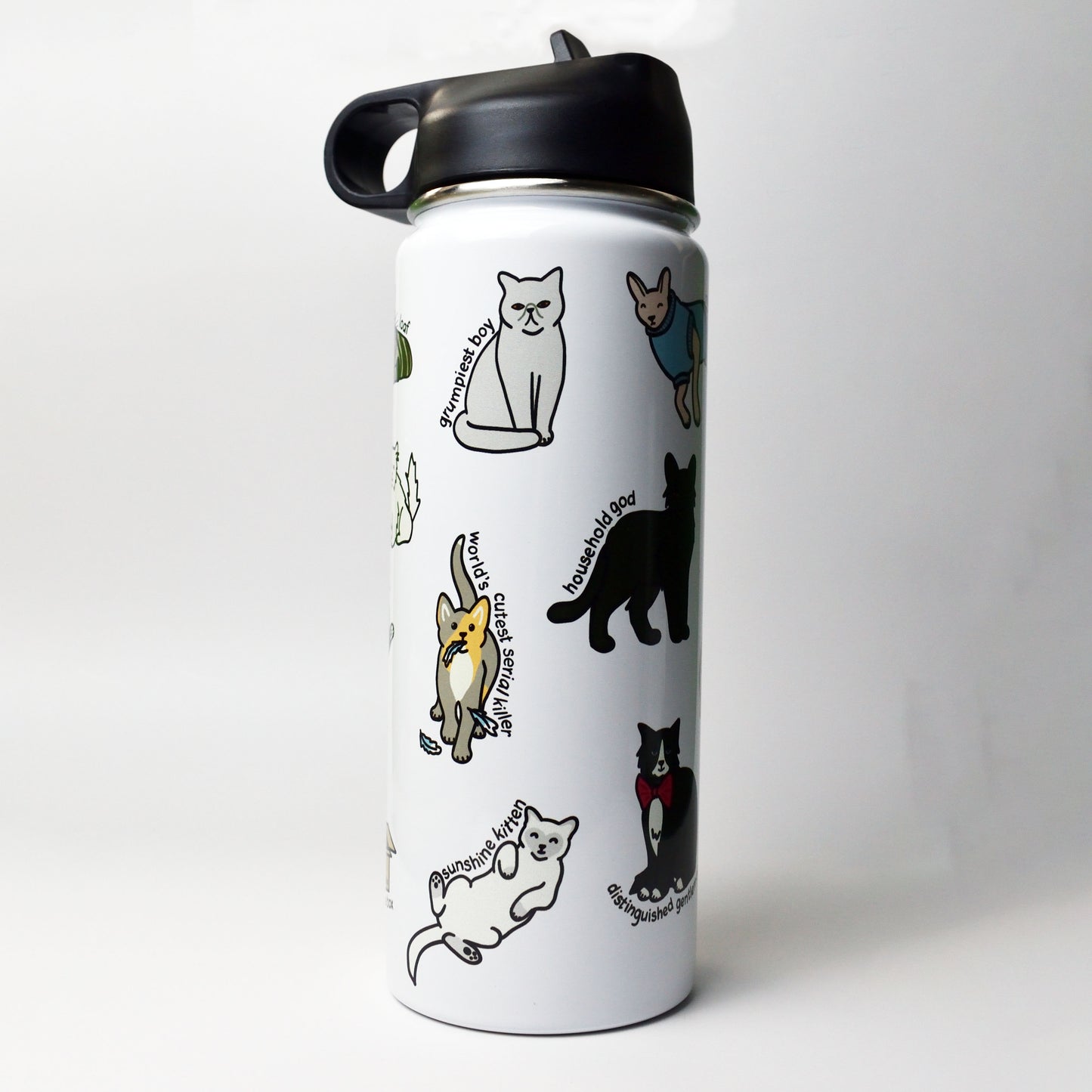 Cat Archetypes Water Bottle