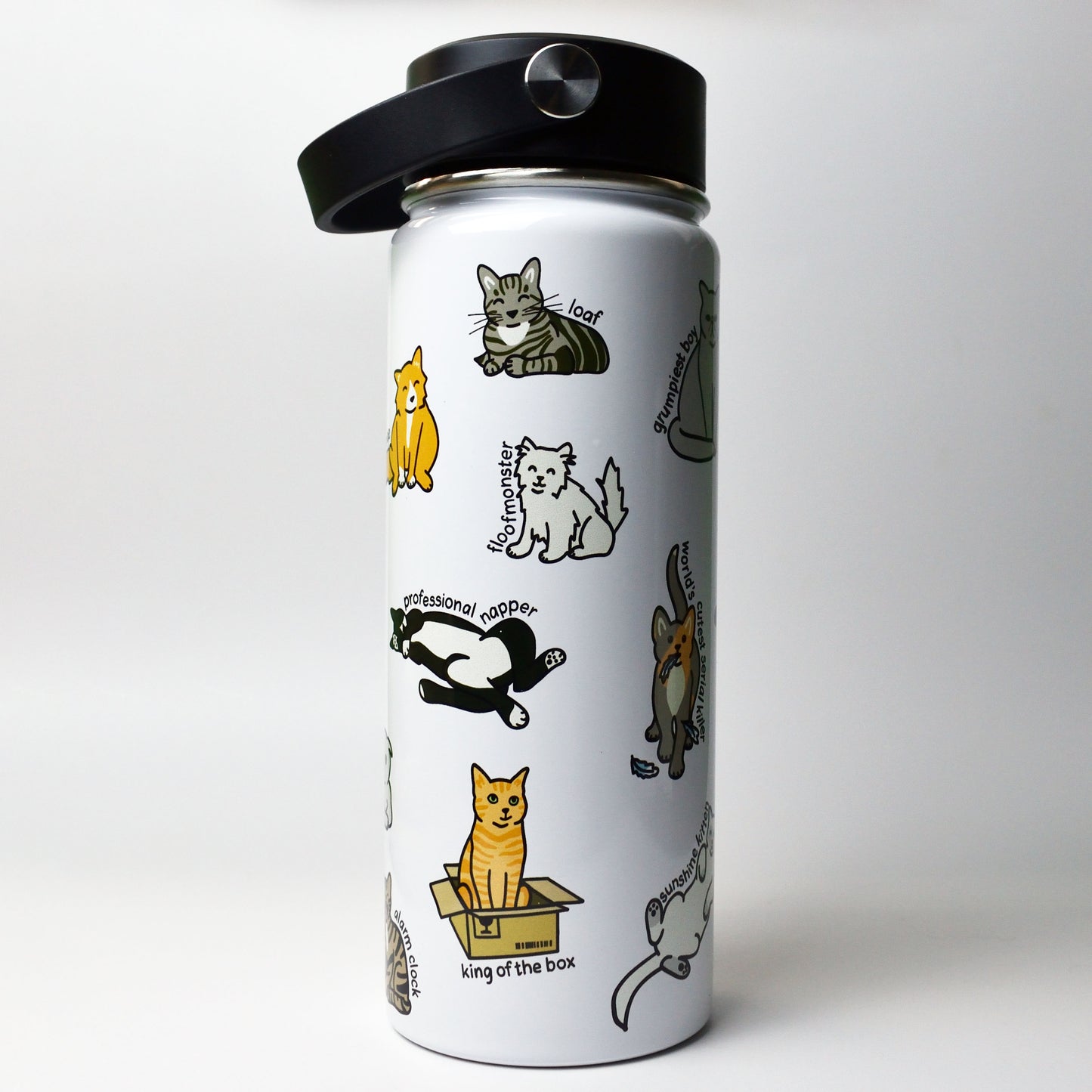 Cat Archetypes Water Bottle